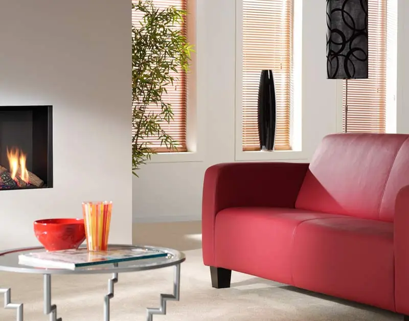 Gas Fireplace Cupido 50 Gas Fireplace Cupido 50