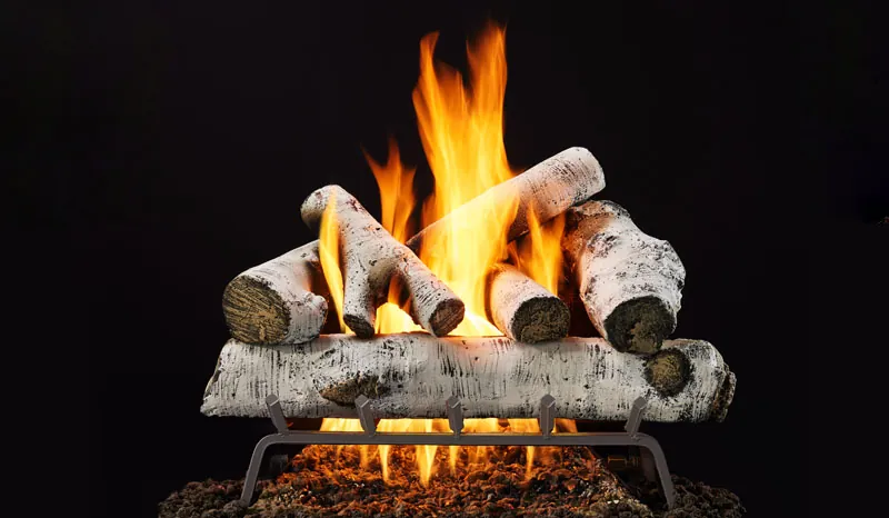Woodland Birch outdoor gas log set with white birch-style logs and vivid flames.
